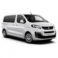 Пороги для Peugeot Traveller